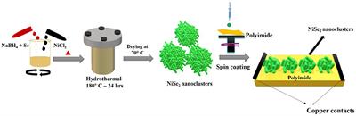 Two-Dimensional Metallic NiSe2 Nanoclusters–Based Low-Cost, Flexible, Amperometric Sensor for Detection of Neurological Drug Carbamazepine in Human Sweat Samples